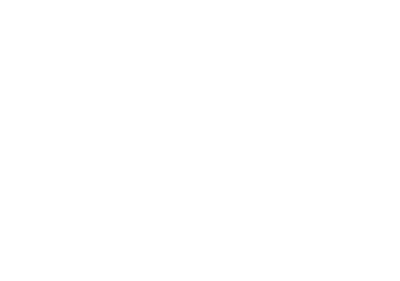 Brand of Brothers